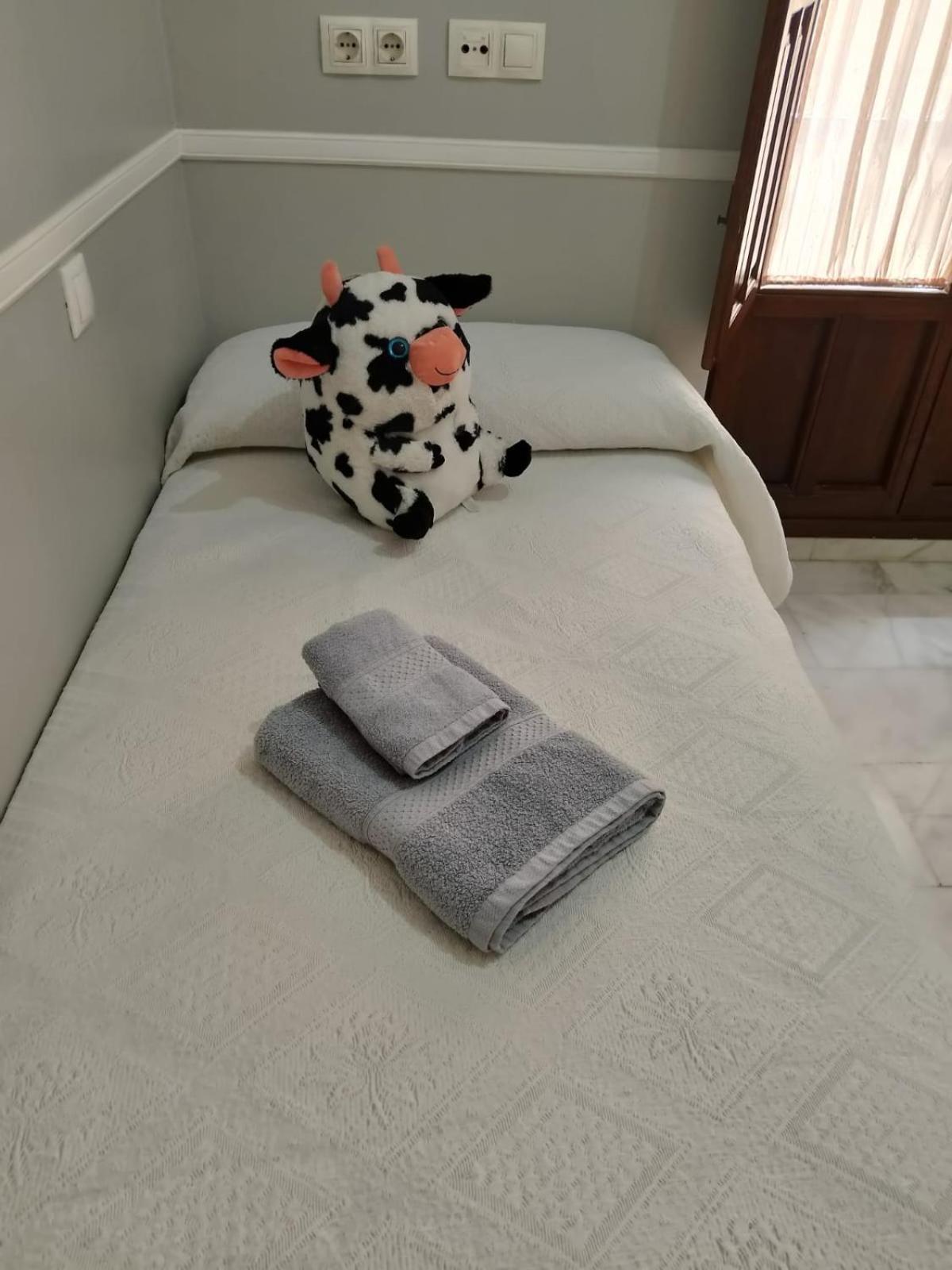 Casa Libelula Blanca Cordoba Διαμέρισμα Εξωτερικό φωτογραφία